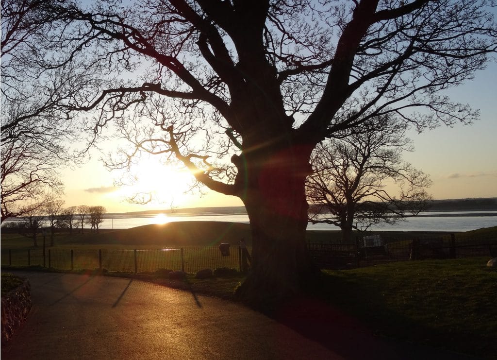 And Move - Business Partners