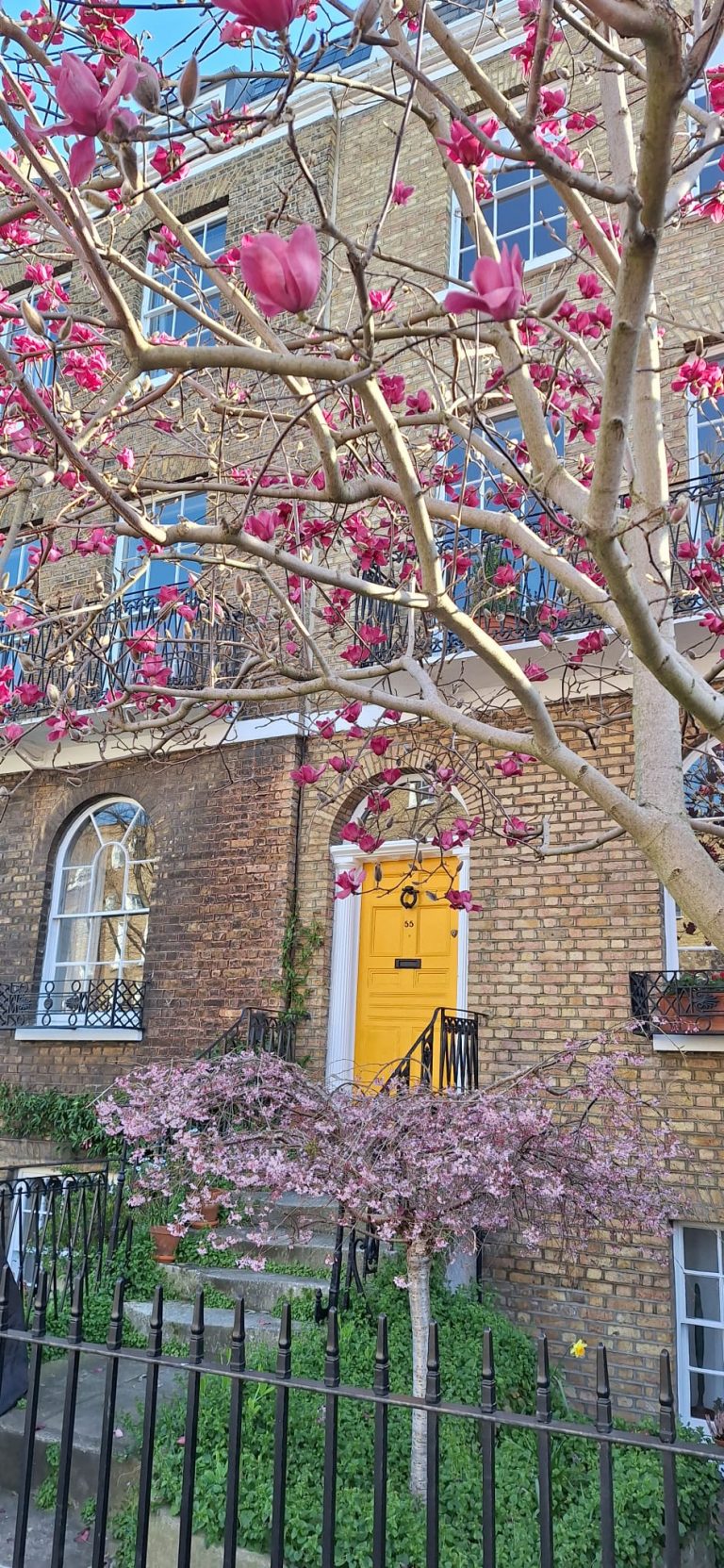 House Removals South West London